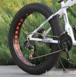 Aluminum Alloy 36V 350W MTB Electric Bikes