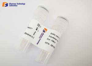 Wholesale Anti Tumor Necrosis Factor Rabbit Polyclonal Antibodies with 16 kDa Observed Band from china suppliers