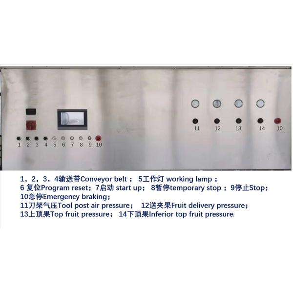 Mitsubishi PLC Apple Automatic Peeling Machine For Fruits And Vegetables Processing Lines SUS304