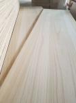 280-300kgs/cbm Density Solid Paulownia Wood After-sale Service of Return and