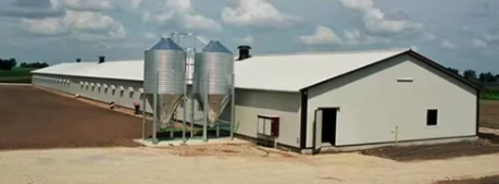 Corrosion Resistance Prefab Poultry House Light Steel Frame Fiberglass Wool Panel