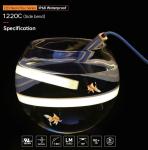 24V Swimming Pool Neon Lights Flexible Waterproof High Brightness And Luminous