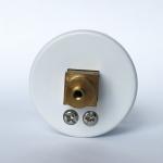 Axial Direction Mount Hygienic Pressure Gauge 30 ATM Luminous Inflation Syringe
