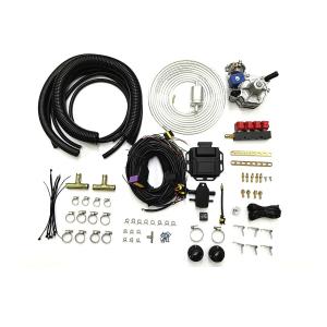 Wholesale Petrol To Liquified Petroleum Gas Auto CNG LPG Conversion Kits 4 Cylinder EFI Conversion Kit from china suppliers