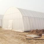 Single-Span Agricultural Greenhouses for Your Farming Needs Span 8m or
