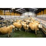 Sandwich Panel Roofing Steel Structure Livestock Barns Shed House for Goat /