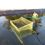 Waterproof Anti-Seepage HDPE Geomembrane Pond Liner in Green Color for Pond