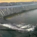 0.2mm 3mm HDPE Geomembrane for Agriculture Fish Pond Shrimp Liners Flexible