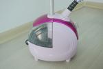 Flat Telescopic Pole Hanging Garment Steamer With 1.8 L Water Tank Capacity
