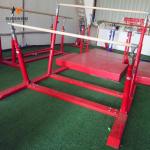 Adjustable Outdoor Fitness Gymnastic Parallel Bars for Kids Gymnastics Equipment