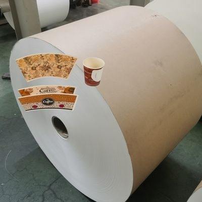 Wholesale PE Coated greaseproof paper roll for beverage paper cups from china suppliers