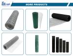 Manufacturers Farm Fence Galvanized Bird Cage Welded Wire Mesh Roll For Fence