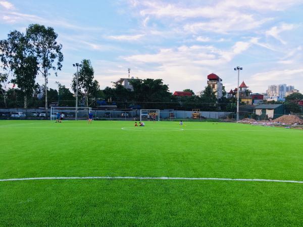 Gazon Artificial De Fotbal En-Gros Artificial Grass Football Grass Synthetic