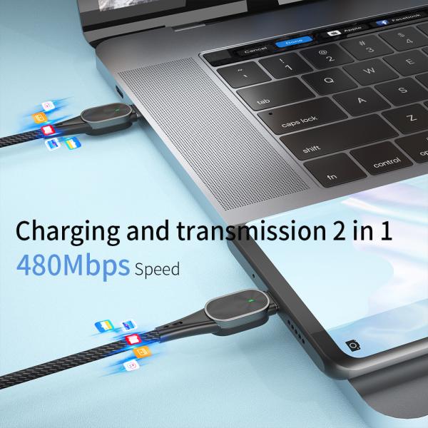 Quick Charge USB C To C Mobile Charging Cable 20V/3A Max For Multimedia