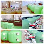 0.22m2 Side Mount Sand Filter