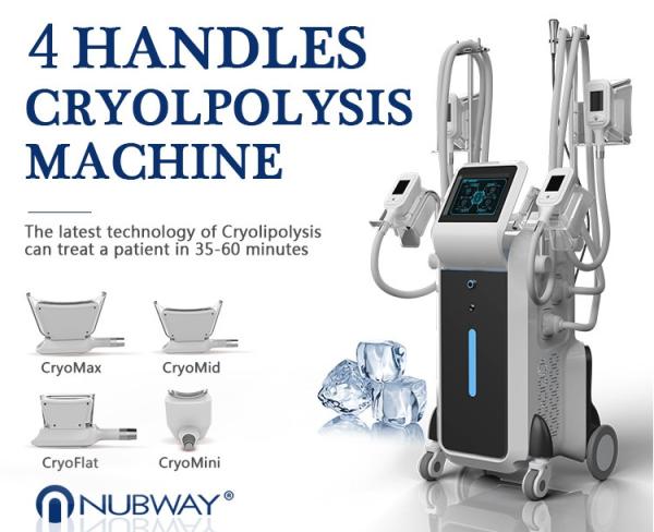 Nubway 2019 China manufacturer 4 cryo handles weight loss cryolipolysis fat