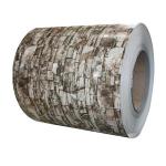 Natural Color DX51D Z120 Color Coated Steel Coil Profiled Tile Suppliers and