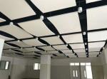 Different Kinds Of Pop Fiberglass Designs Acoustic Ceiling For Office Home