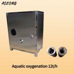 1000L/Hour Productivity Nano Bubble Generator for Aquaculture