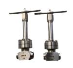 Cryogenic liquid gases High Pressure Globe Valve High quality PN320 Valve