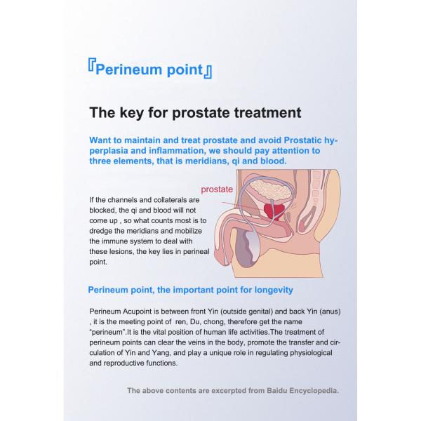 Portable Medical Physical Therapy Prostate Disease Treatment Device