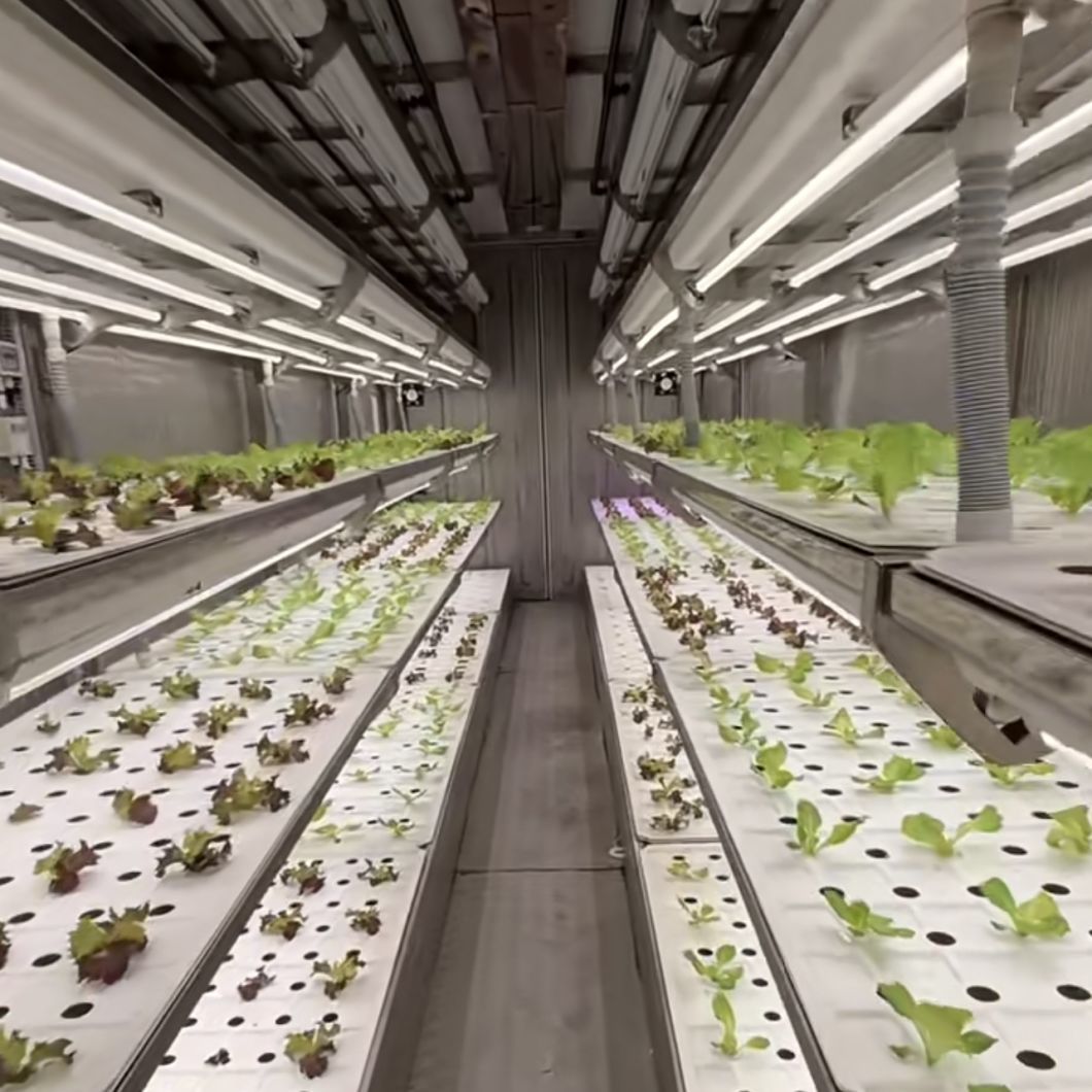 Juxiang Reefer Container Greenhouse