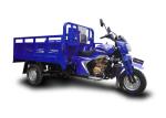 200CC Motorized Cargo Tricycle Chinese Cargo Trike with Delivery Van