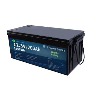 Wholesale Hertz 12200 12.8V 100Ah LiFePO4 Li-ion Golf Cart Battery with 6000+ Cycles and IP65 Waterproof Design from china suppliers
