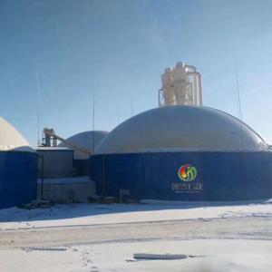 Wholesale Commercial Biogas Plant Cow Dung Gas Plant Biogas Systems from china suppliers
