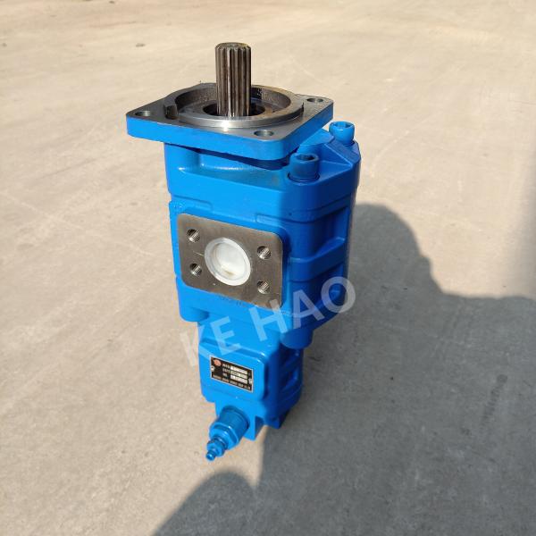 CBGJ Double Pump Square cover Spline Blue Compact Original Gear Pump For