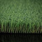 Garden Beautiful Polyethylene Grass Landscape Oil Painting 4 Colors Available