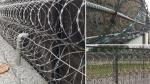 Lowest price galvanized razor concertina coils type barbed wire manufacturer