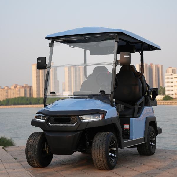 2 4 6 Seat Electric Lithium Battery Sightseeing Golf Cart Golf Buggy Car with