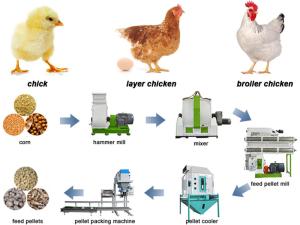 Wholesale 0.6-18 Ton Per Hour Cattle Feed Manufacturing Plant Low Noise from china suppliers