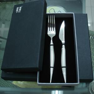 Wholesale High quality TTX stainless steel cutlery gift set/two pcs set/knife and fork set from china suppliers