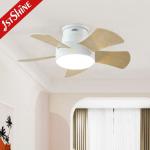 Energy Saving 28 Inch LED Ceiling Fan for Low Ceilings Metal Body and Flush