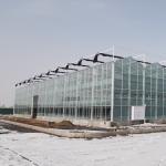 Steel-Plastic Double Layer Mushroom Greenhouse for Medical Plants and Mushroom