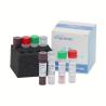 Buy cheap Real Time Nucleic Acid Detection Kit Influenza PCR Kit 48 96 Tests / Box from wholesalers