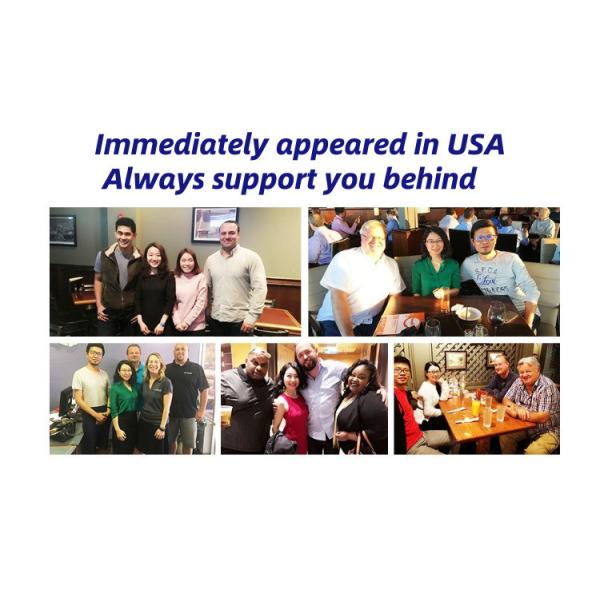 Gambling Pinball Game Machine Arcade IGS Turtles Revenge Fishing Up Casino Video Fishing Game Table