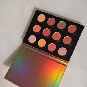 Wholesale Quick Sand series fashion beautiful 12 Color 12g Eye Shadow Palette from china suppliers
