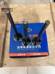 Zichai L250-03-031A Marine Diesel Engine Parts L250-03-004A Intake Valve Exhaust