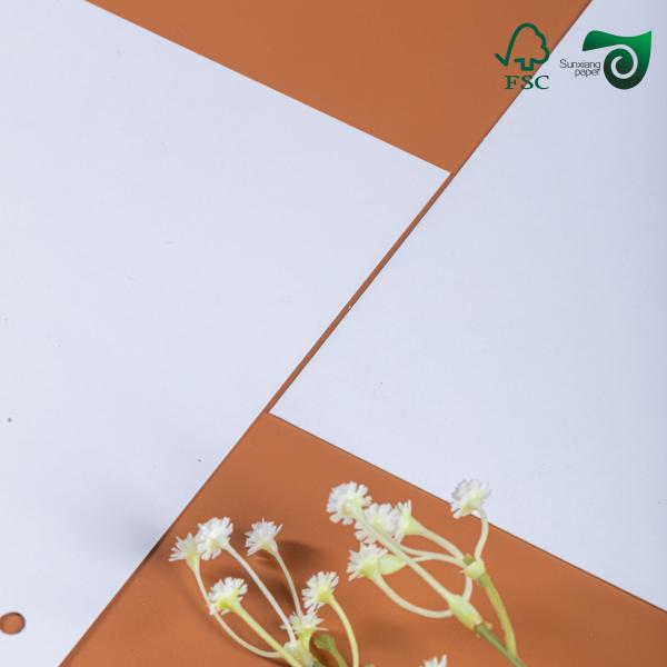 300gsm 350gsm Recyclable White C2S Coated Paper FSC Highly Polished Finish