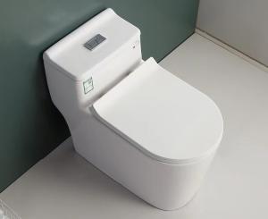 Wholesale S Trap One Piece Chair Height Toilet Dual Flush Mix Pit Spacing 220mm from china suppliers
