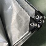 UV Protected Plastic Fabric Sheet for Agriculture/Industrial Cover in Standard