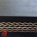 Perfect Rubber Mining Multi Ply Textile Heat Resistant Conveyor Belt