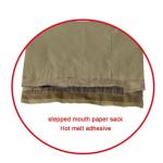 Recycled Pinch Bottom Paper Bags Coconut Packaging Accept Logo Print