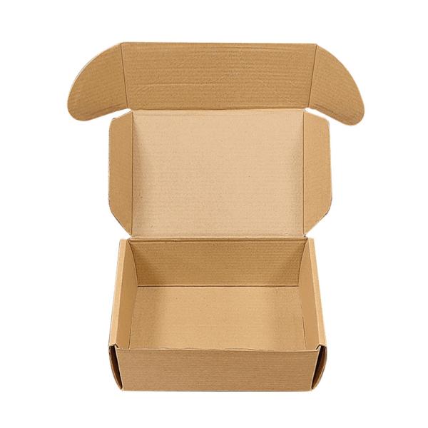 Custom Logo Printed Eco Friendly Delivery Brown Kraft Paper Carton Mailer