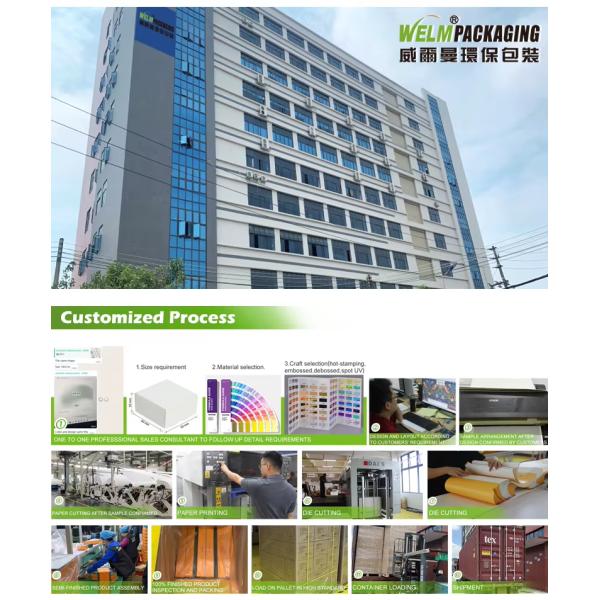 Paperboard Burger Box Biodegradable Disposable Food Grade Packaging with VANISHING Printing Handling