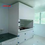 Integrated Structure Laboratory Chemical Hood With Scruuber Tank ODM