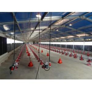 Metal Poultry Breeding Base Pre Engineered Metal Building